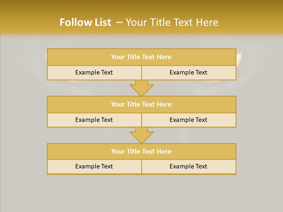 Look Zoo Domestic PowerPoint Template