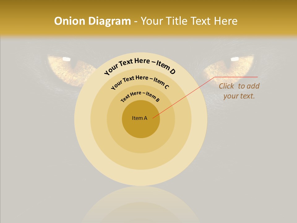 Look Zoo Domestic PowerPoint Template