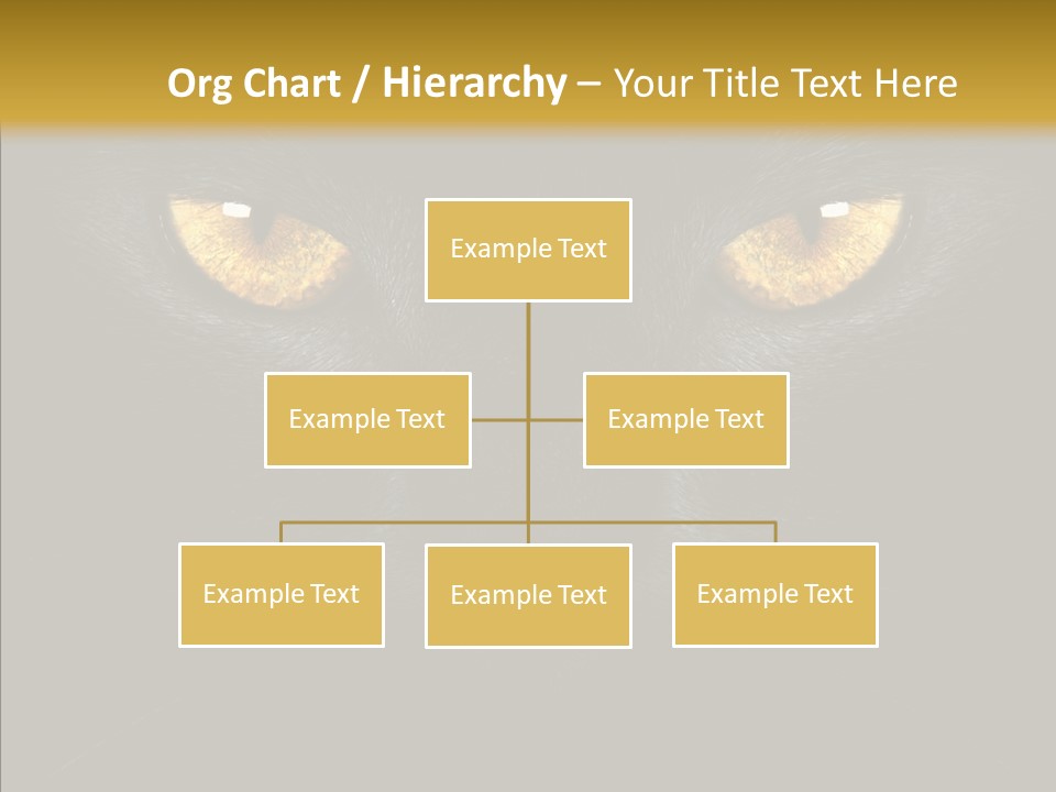 Look Zoo Domestic PowerPoint Template