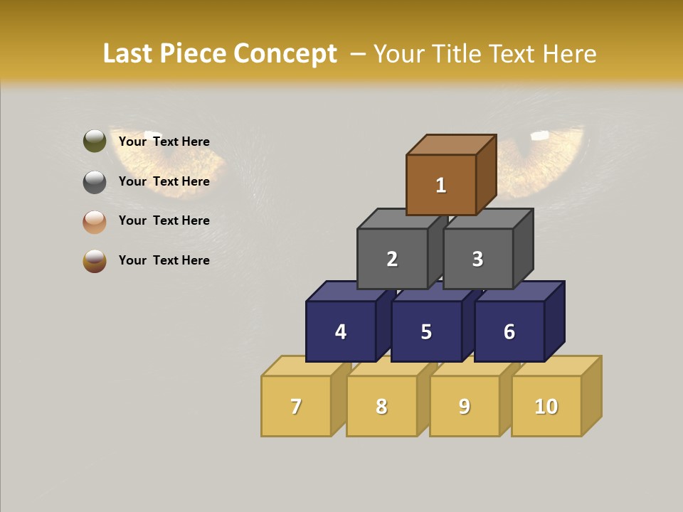 Look Zoo Domestic PowerPoint Template