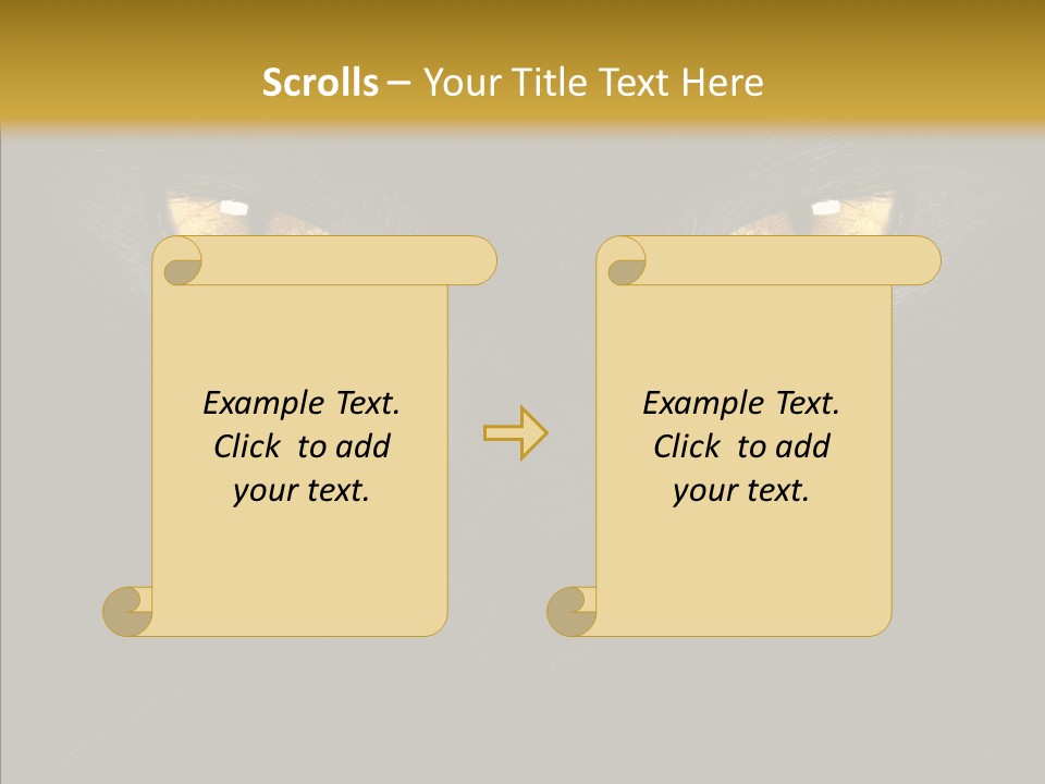 Look Zoo Domestic PowerPoint Template