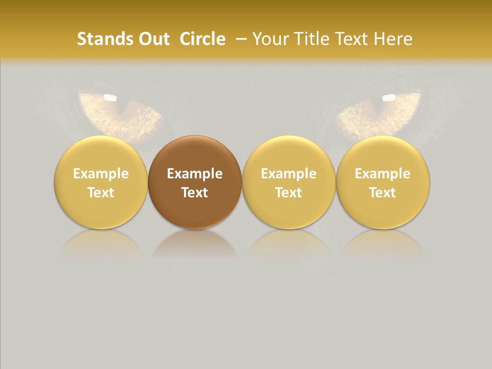 Look Zoo Domestic PowerPoint Template