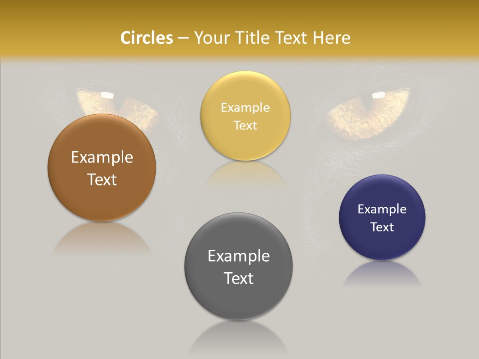 Look Zoo Domestic PowerPoint Template