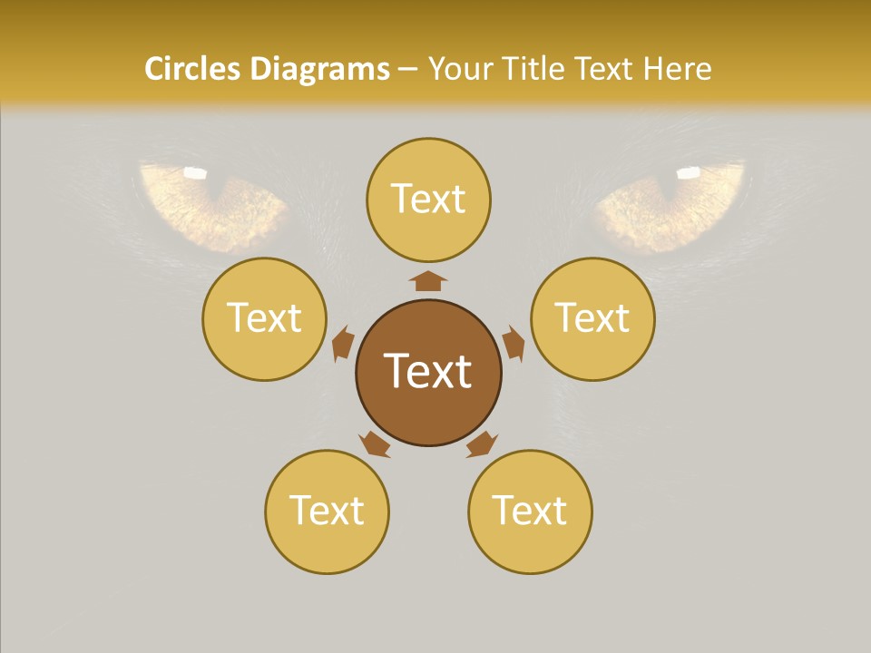 Look Zoo Domestic PowerPoint Template