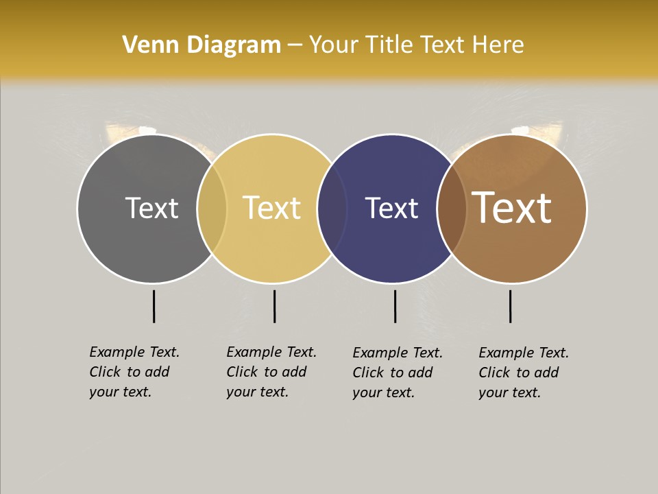 Look Zoo Domestic PowerPoint Template