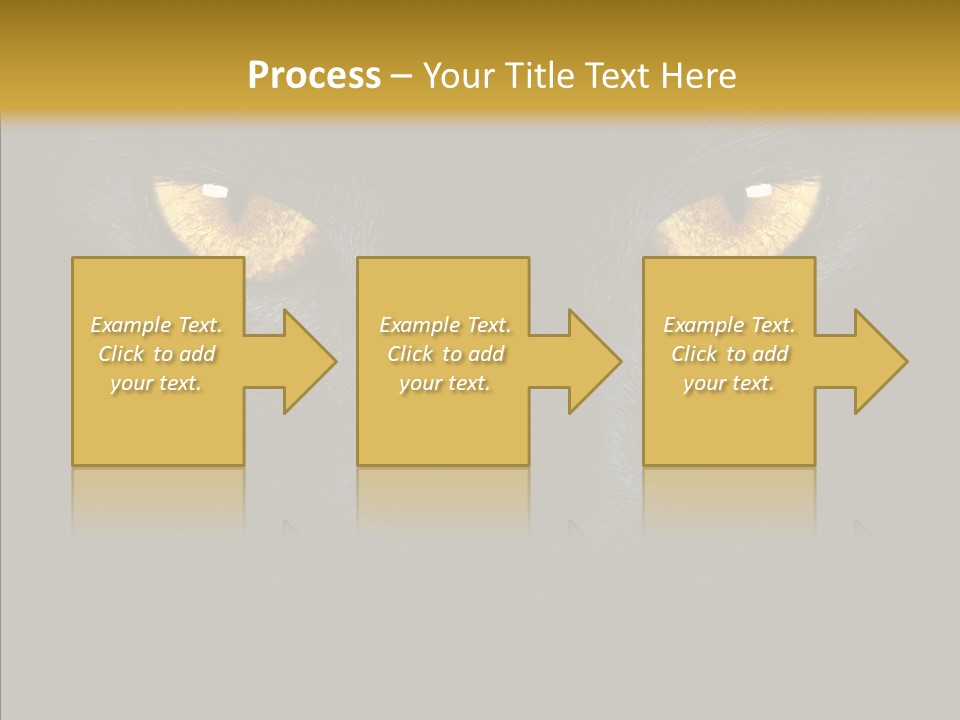 Look Zoo Domestic PowerPoint Template