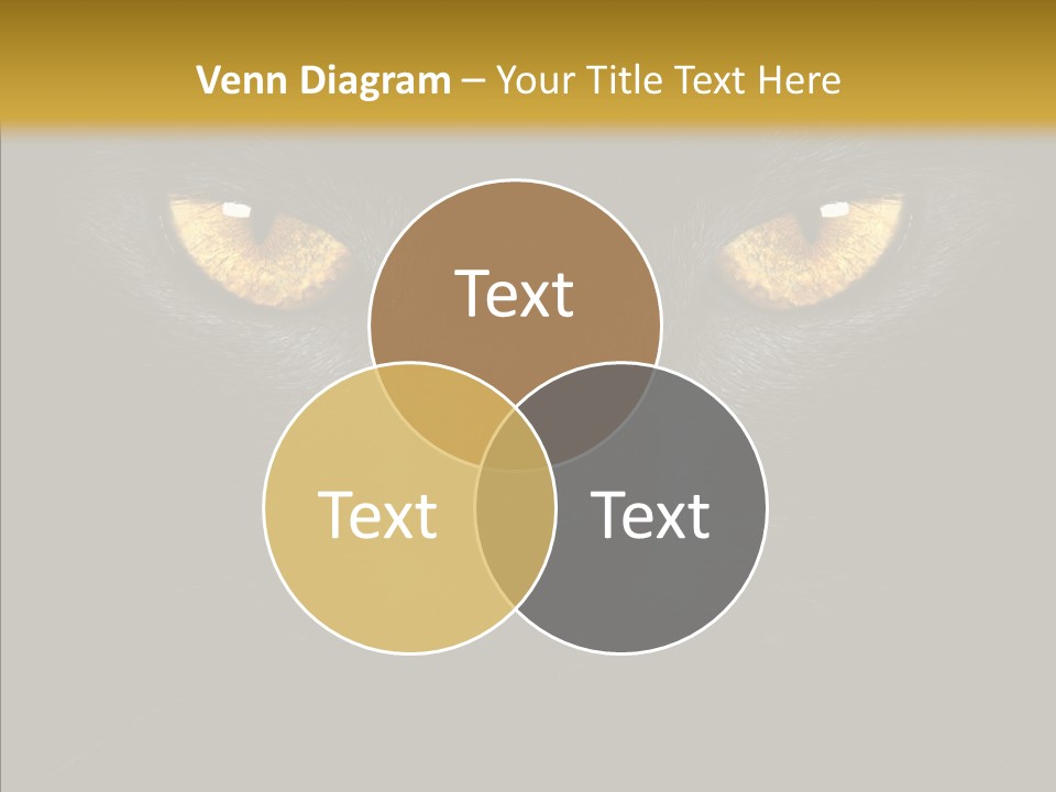 Look Zoo Domestic PowerPoint Template