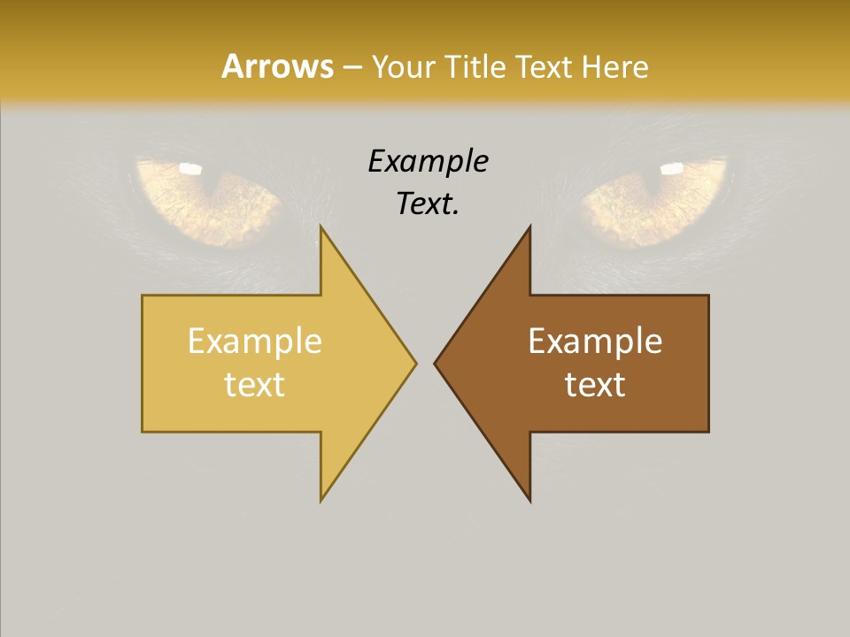 Look Zoo Domestic PowerPoint Template