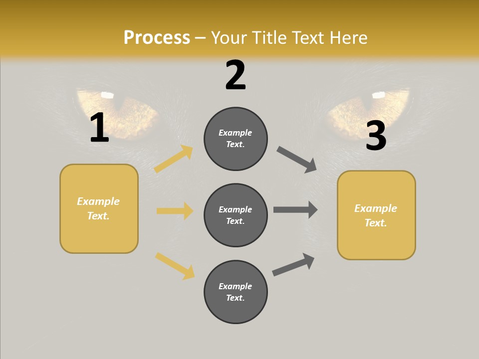 Look Zoo Domestic PowerPoint Template