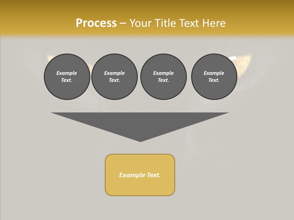 Look Zoo Domestic PowerPoint Template