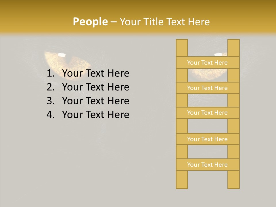 Look Zoo Domestic PowerPoint Template