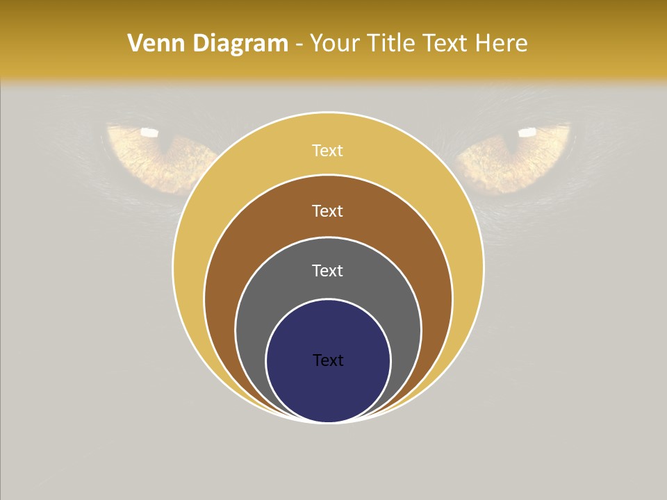 Look Zoo Domestic PowerPoint Template