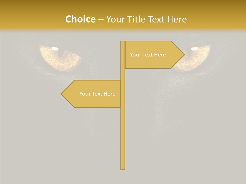 Look Zoo Domestic PowerPoint Template