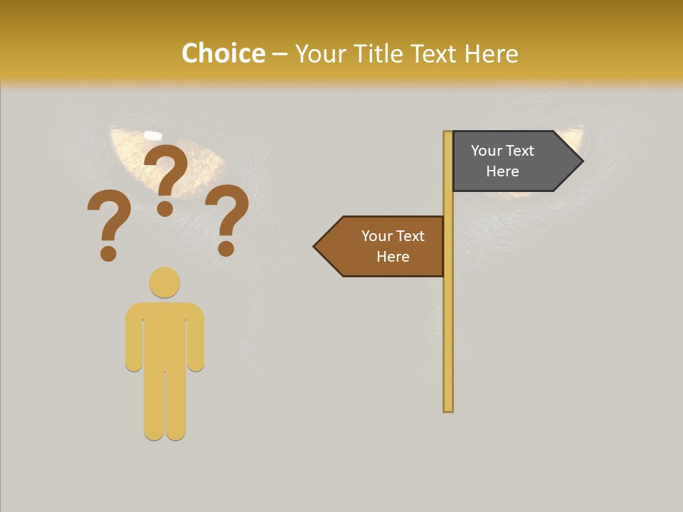 Look Zoo Domestic PowerPoint Template