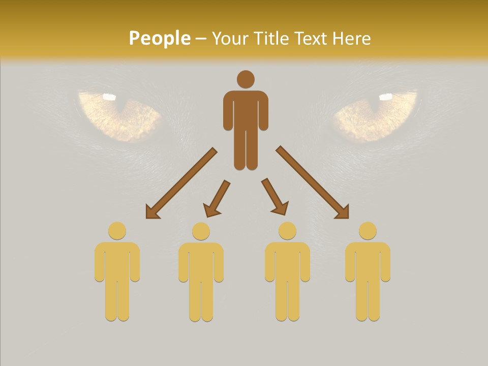 Look Zoo Domestic PowerPoint Template