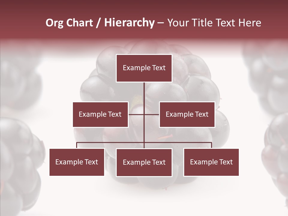 Eat Fresh Studio PowerPoint Template
