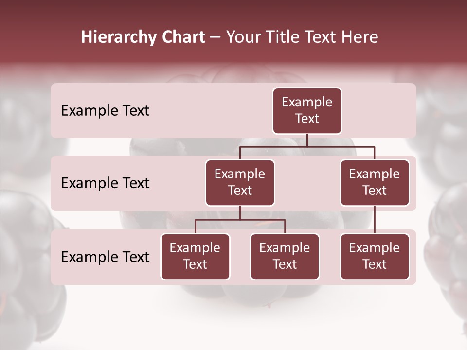 Eat Fresh Studio PowerPoint Template