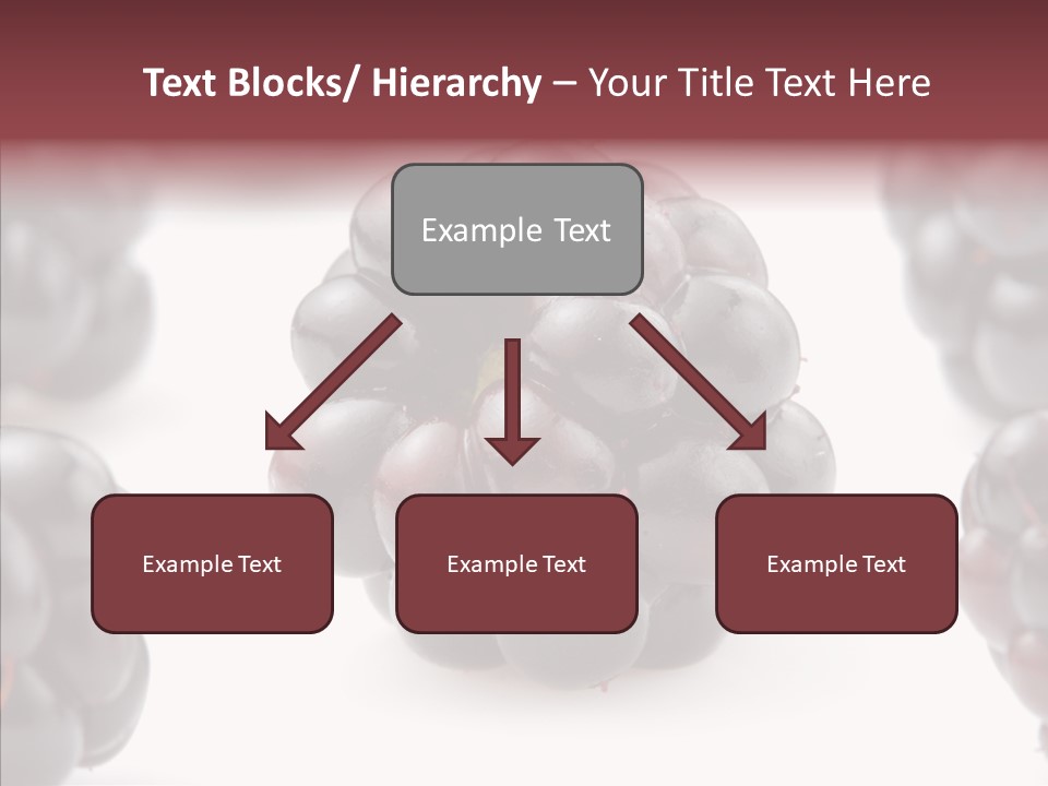 Eat Fresh Studio PowerPoint Template