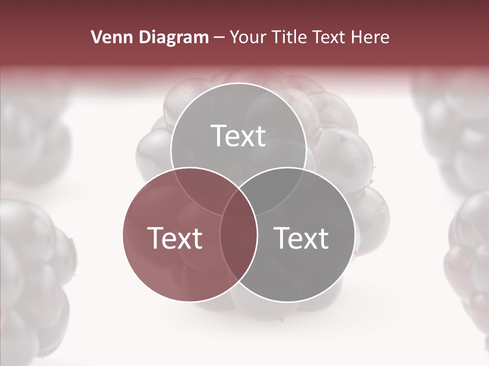 Eat Fresh Studio PowerPoint Template