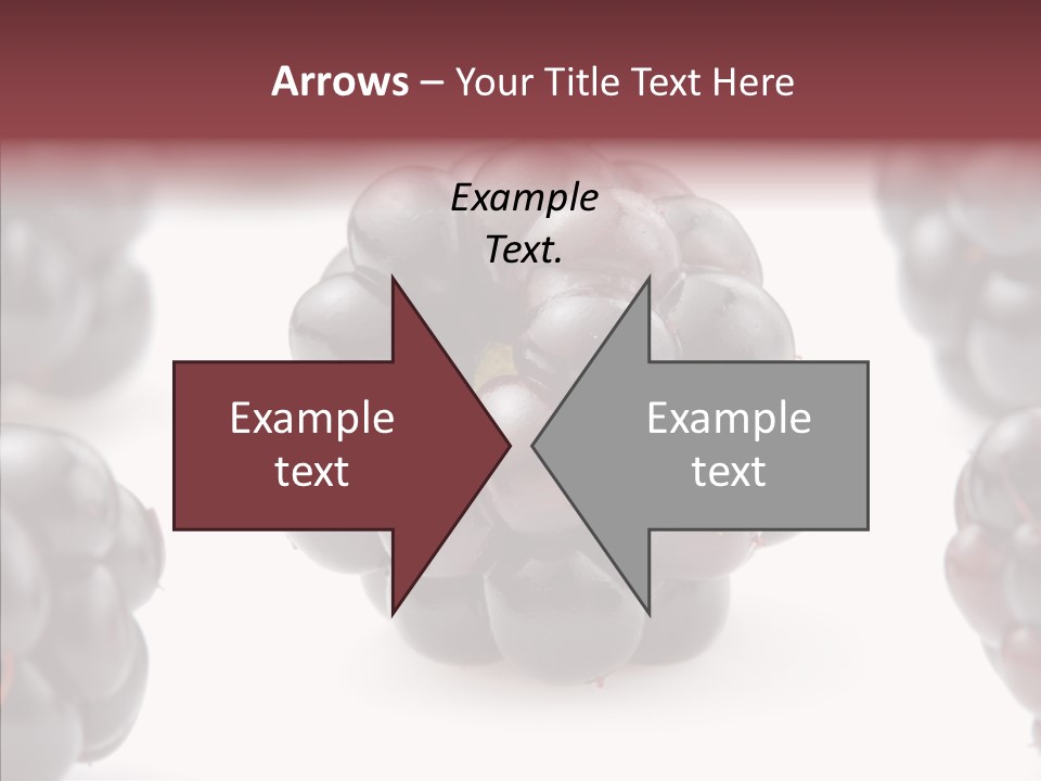 Eat Fresh Studio PowerPoint Template