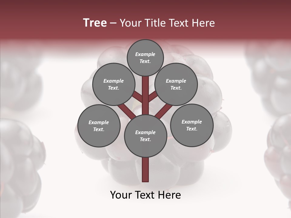 Eat Fresh Studio PowerPoint Template