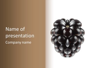 Fresh Berry Studio PowerPoint Template