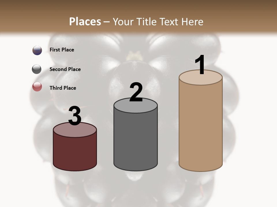 Fresh Berry Studio PowerPoint Template