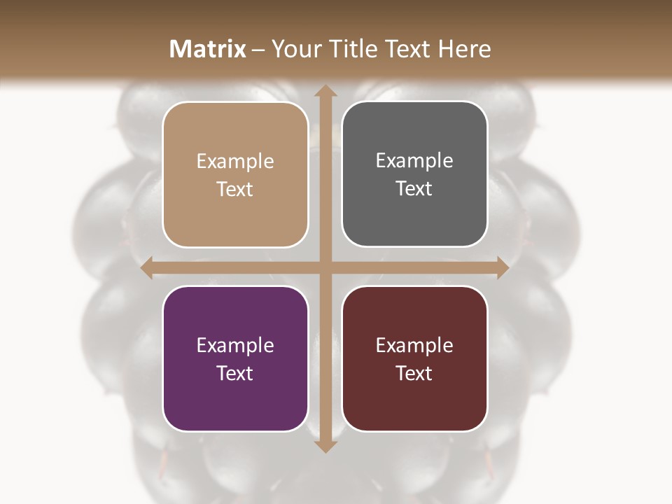 Fresh Berry Studio PowerPoint Template