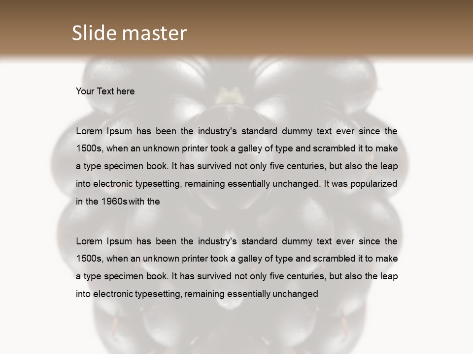 Fresh Berry Studio PowerPoint Template