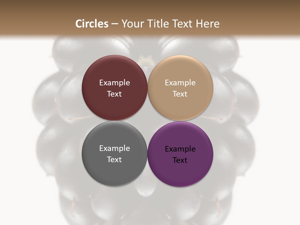 Fresh Berry Studio PowerPoint Template