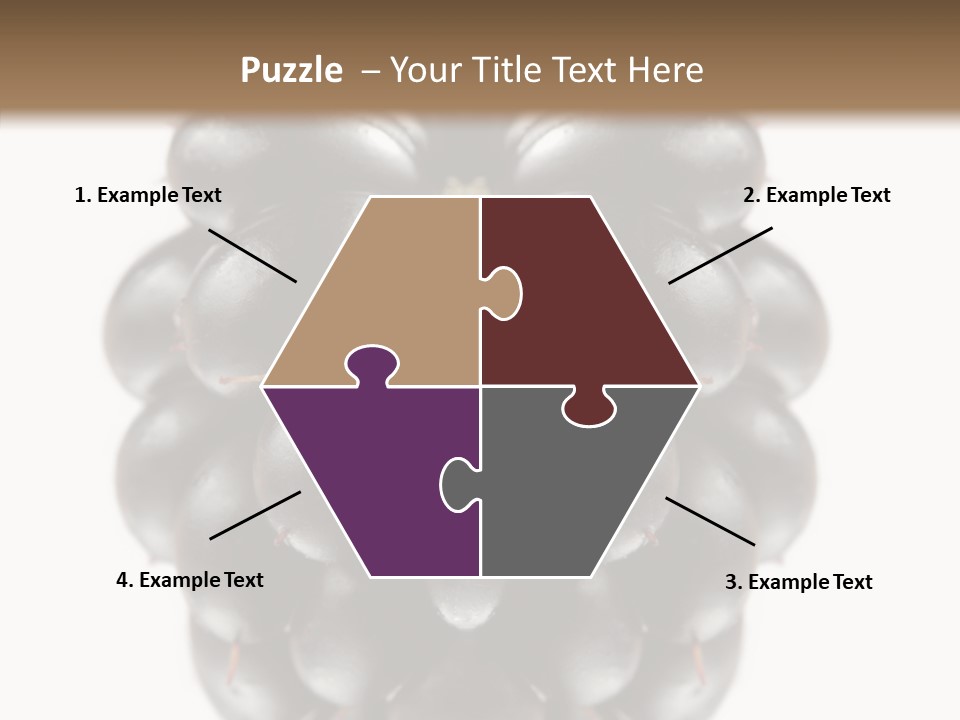 Fresh Berry Studio PowerPoint Template