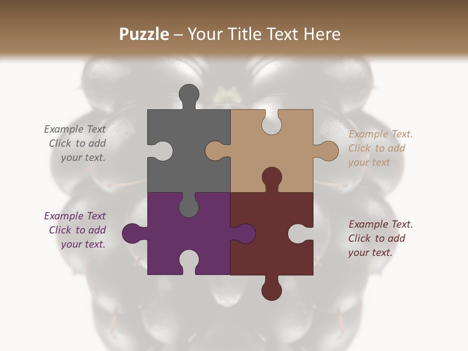 Fresh Berry Studio PowerPoint Template