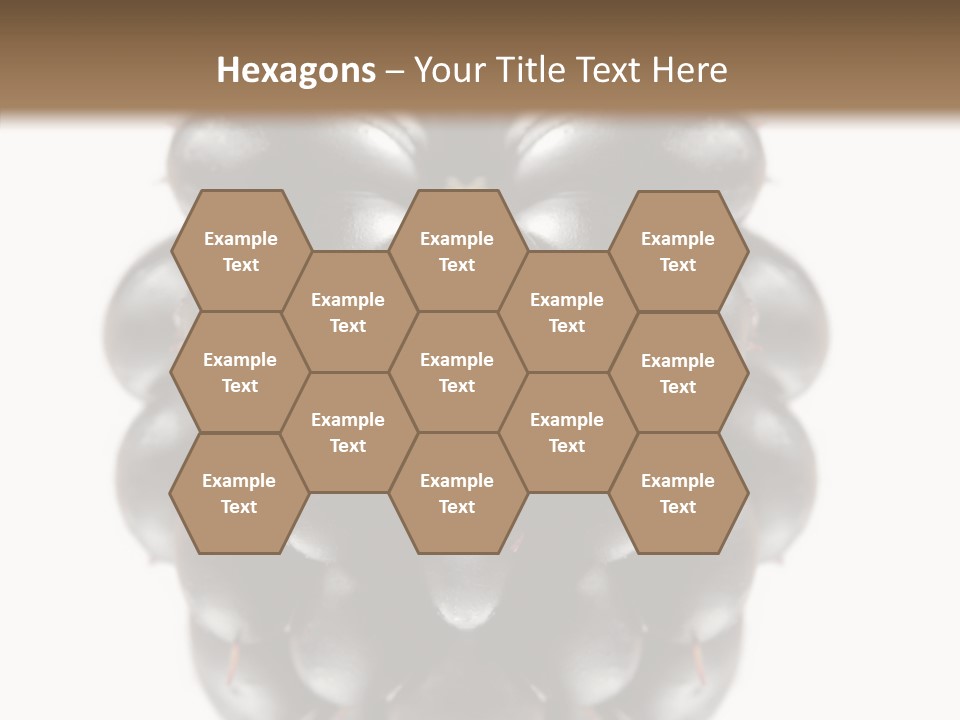 Fresh Berry Studio PowerPoint Template