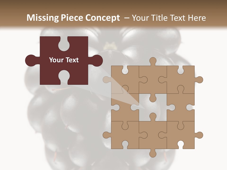 Fresh Berry Studio PowerPoint Template