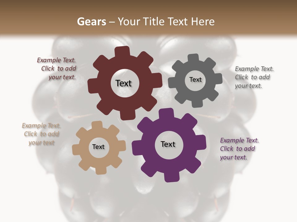 Fresh Berry Studio PowerPoint Template