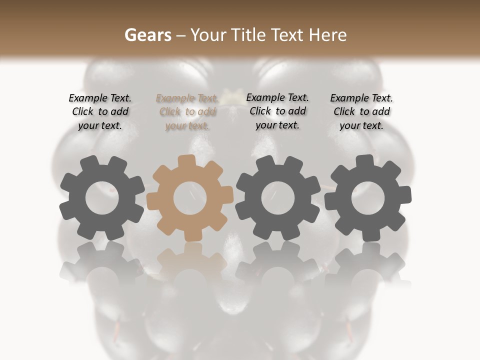 Fresh Berry Studio PowerPoint Template