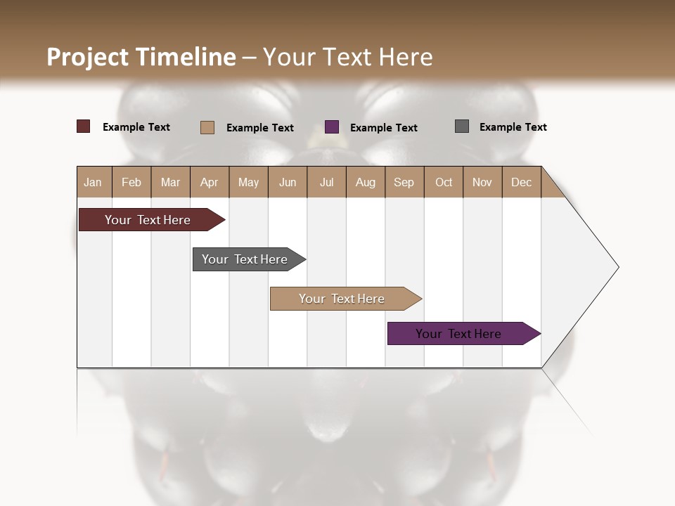 Fresh Berry Studio PowerPoint Template