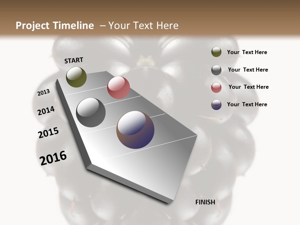 Fresh Berry Studio PowerPoint Template