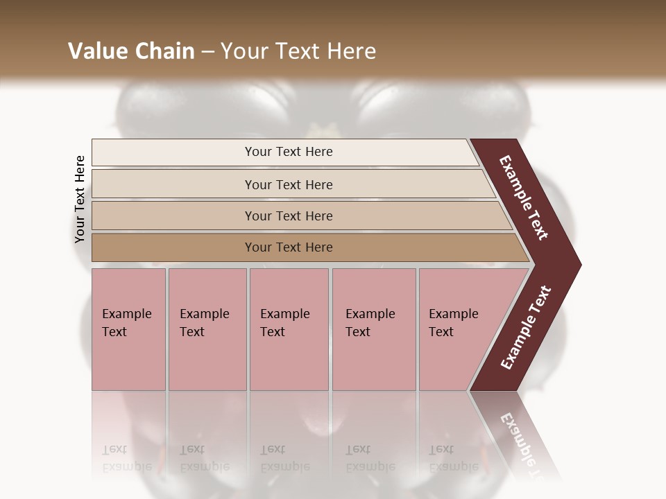 Fresh Berry Studio PowerPoint Template