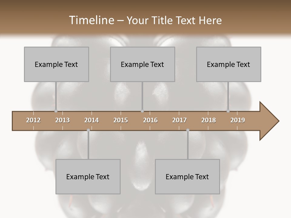 Fresh Berry Studio PowerPoint Template
