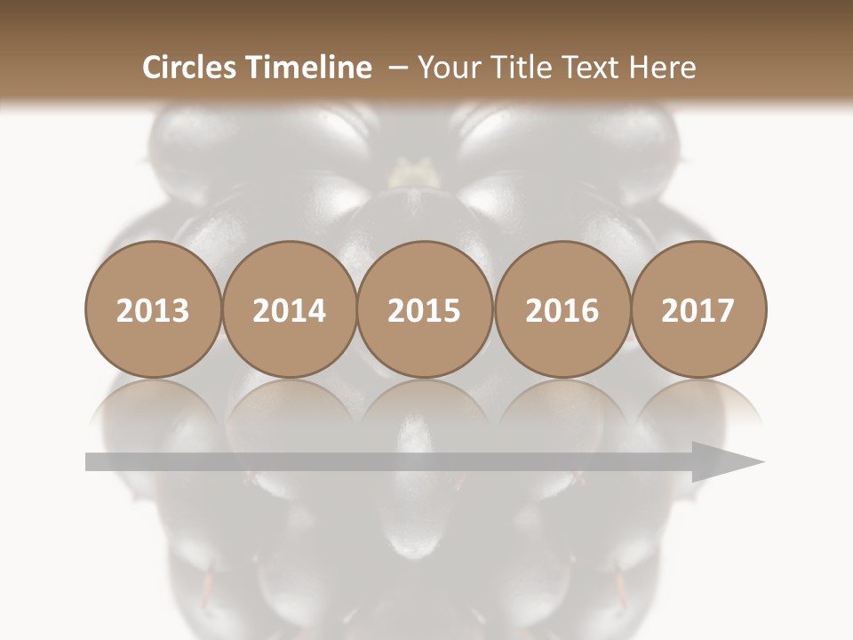 Fresh Berry Studio PowerPoint Template