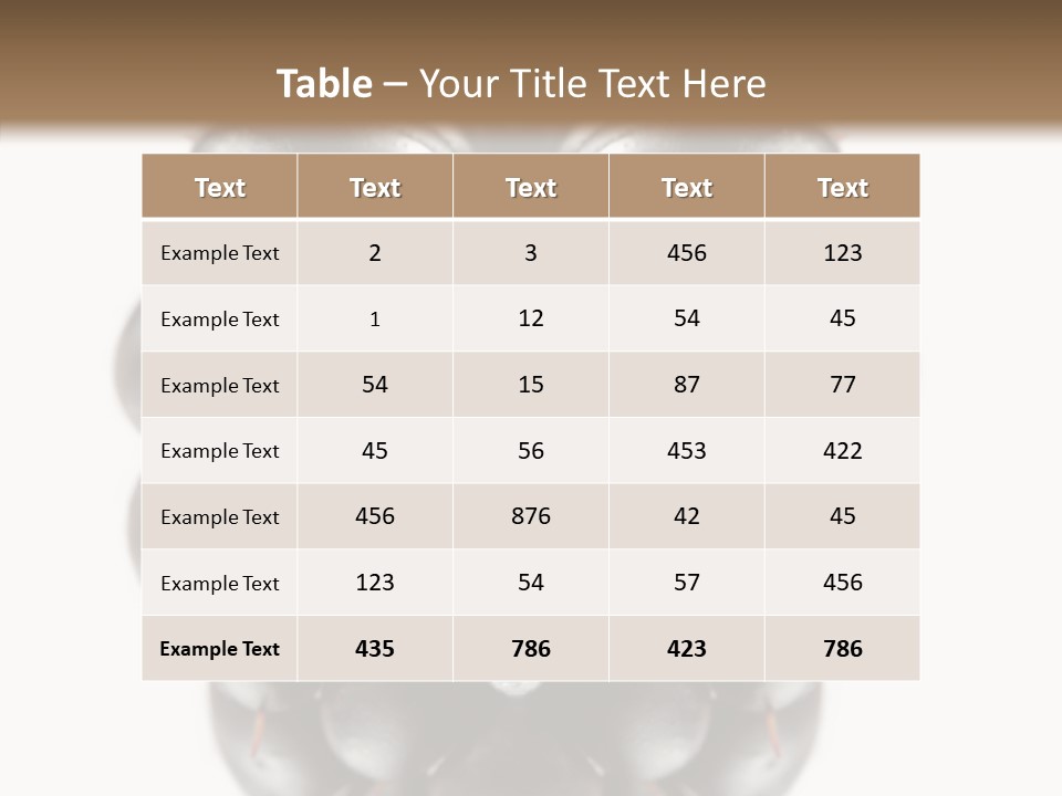 Fresh Berry Studio PowerPoint Template