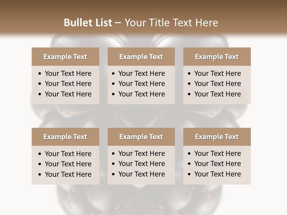 Fresh Berry Studio PowerPoint Template