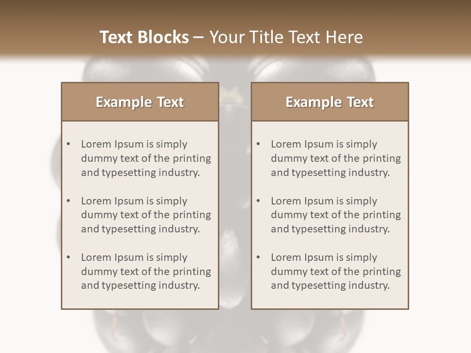 Fresh Berry Studio PowerPoint Template