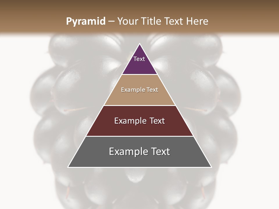 Fresh Berry Studio PowerPoint Template