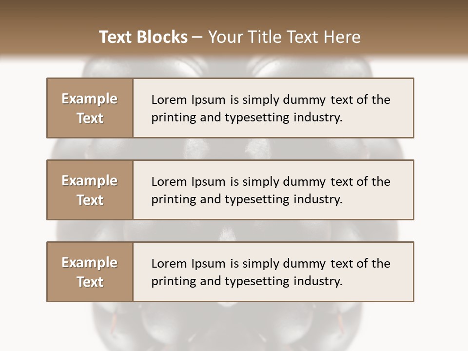 Fresh Berry Studio PowerPoint Template