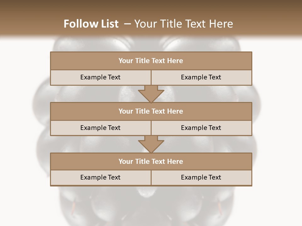 Fresh Berry Studio PowerPoint Template