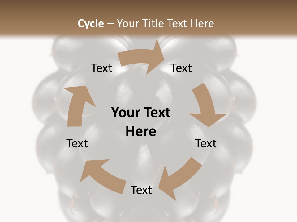 Fresh Berry Studio PowerPoint Template