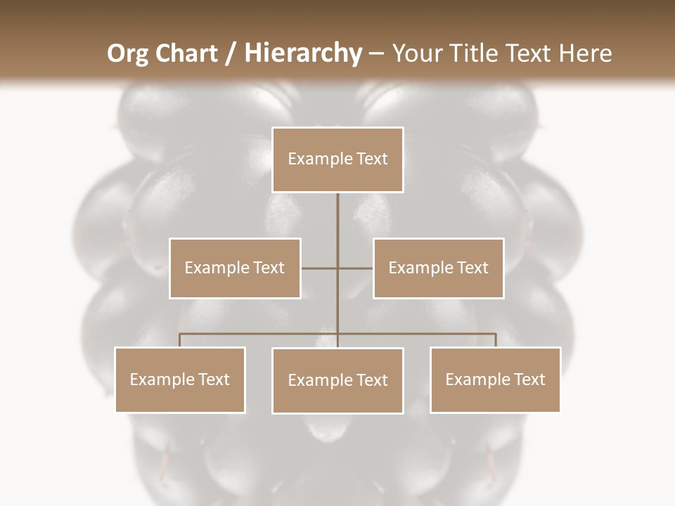 Fresh Berry Studio PowerPoint Template