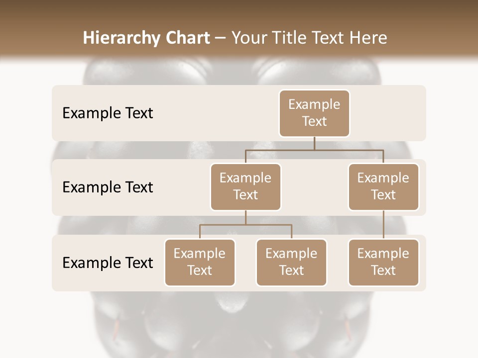 Fresh Berry Studio PowerPoint Template